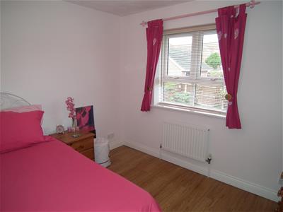 Picture 13